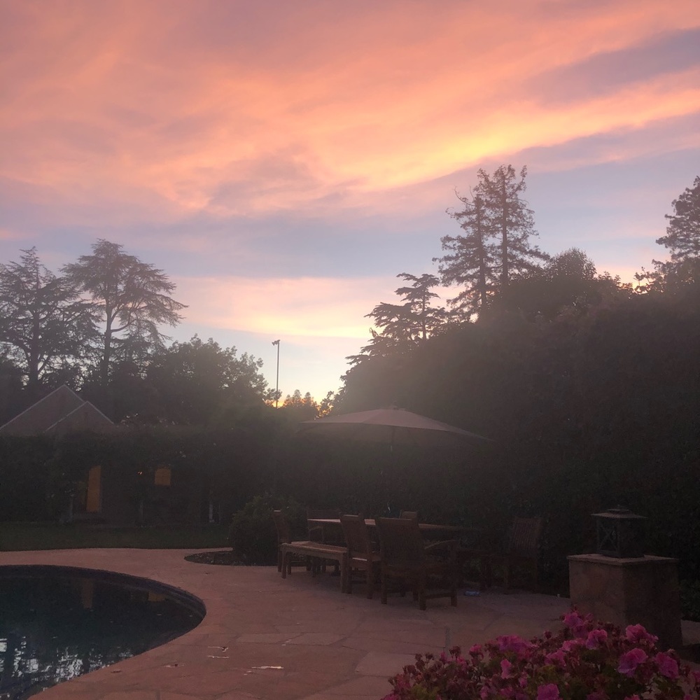 Meet your Posher, Charlotte